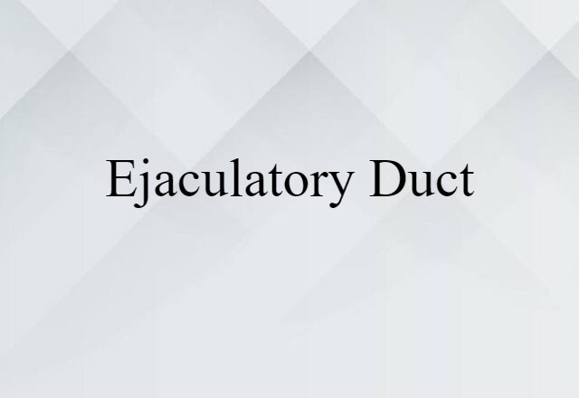 ejaculatory duct