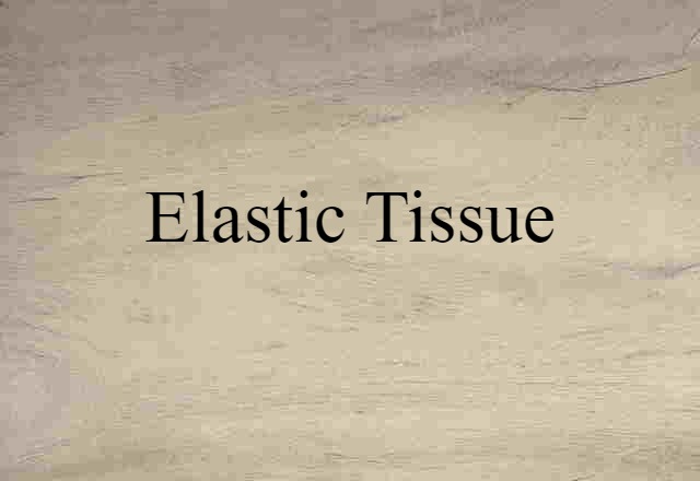 elastic tissue