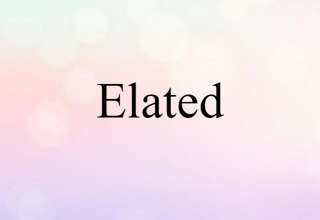 Elated (noun) Definition, Meaning & Examples