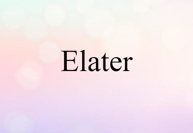 elater