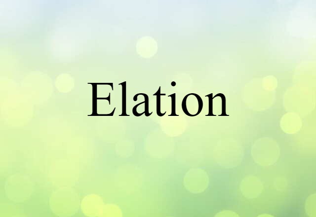 Elation (noun) Definition, Meaning & Examples