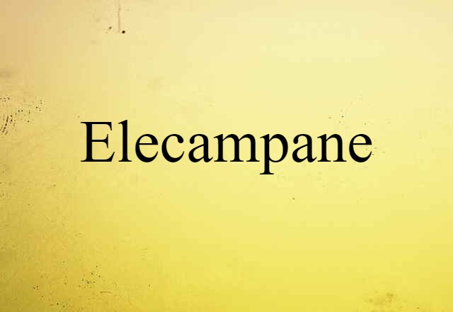 Elecampane (noun) Definition, Meaning & Examples