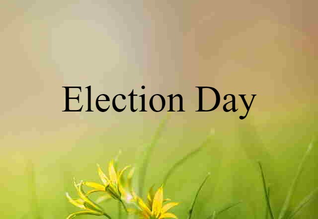 Election Day (noun) Definition, Meaning & Examples