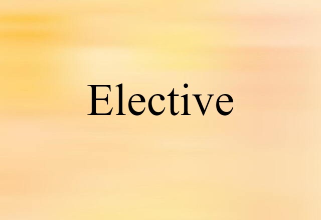 Elective (noun) Definition, Meaning & Examples