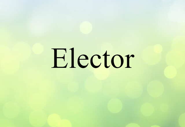 Elector (noun) Definition, Meaning & Examples