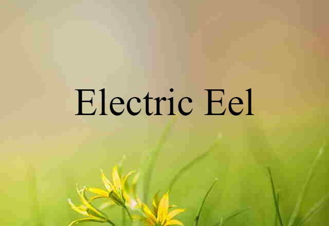 electric eel