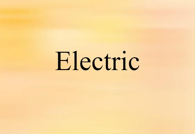 Electric (noun) Definition, Meaning & Examples