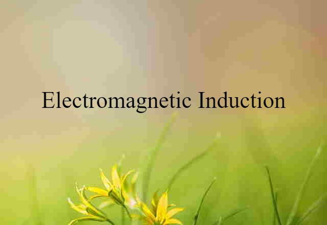 electromagnetic induction