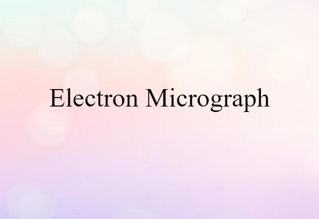 Electron Micrograph (noun) Definition, Meaning & Examples