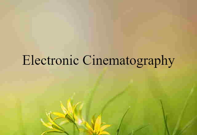 Electronic Cinematography (noun) Definition, Meaning & Examples