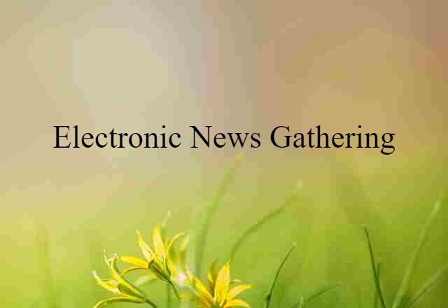 Electronic News Gathering (noun) Definition, Meaning & Examples