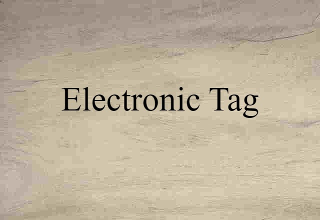 Electronic Tag (noun) Definition, Meaning & Examples