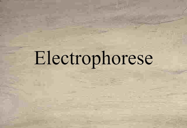 Electrophorese (noun) Definition, Meaning & Examples