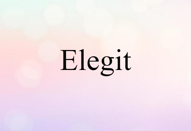 Elegit (noun) Definition, Meaning & Examples