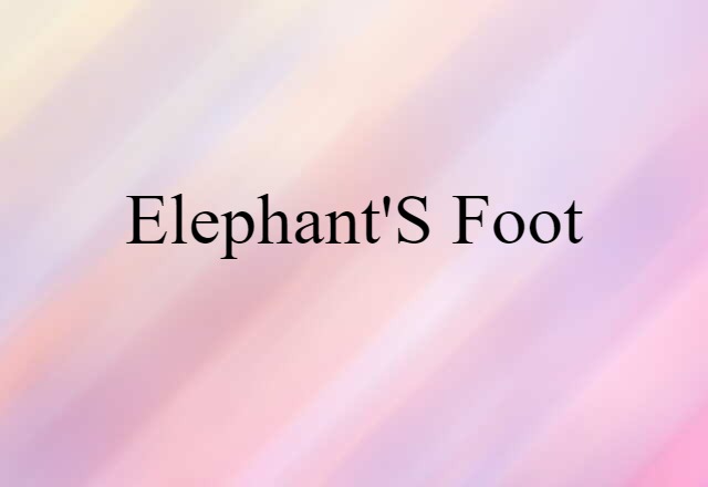 Elephant's-foot (noun) Definition, Meaning & Examples