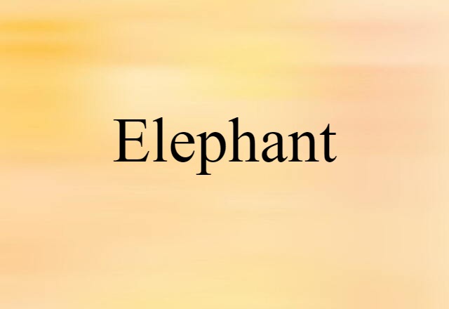 elephant