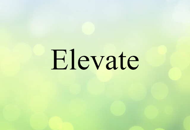 elevate