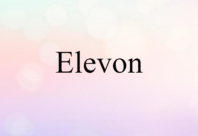 elevon