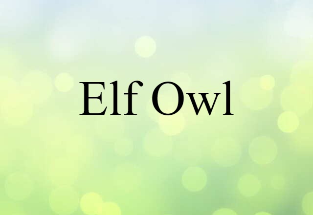 elf owl