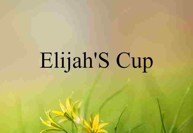 Elijah's Cup (noun) Definition, Meaning & Examples