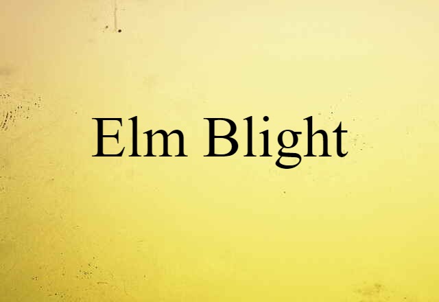 elm blight