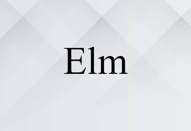 Elm (noun) Definition, Meaning & Examples