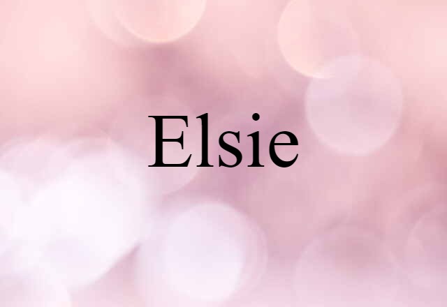 Elsie (noun) Definition, Meaning & Examples