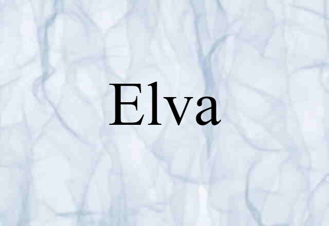 Elva (noun) Definition, Meaning & Examples