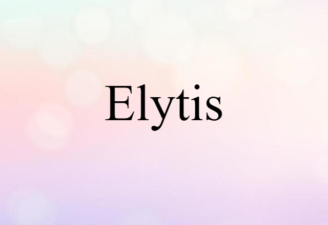 Elytis (noun) Definition, Meaning & Examples