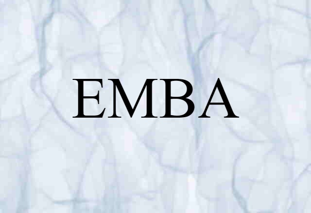 EMBA (noun) Definition, Meaning & Examples