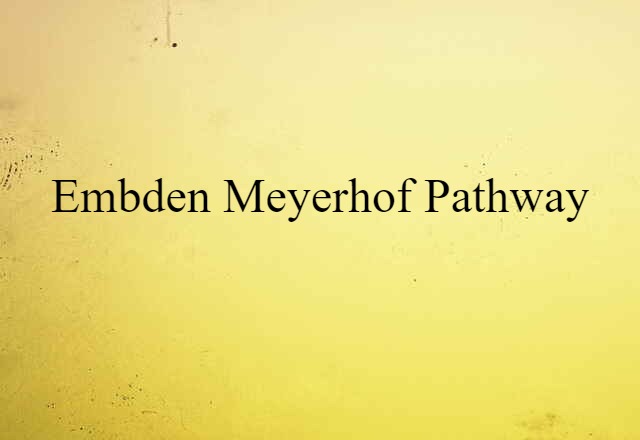 Embden-Meyerhof pathway