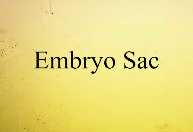 Embryo Sac (noun) Definition, Meaning & Examples