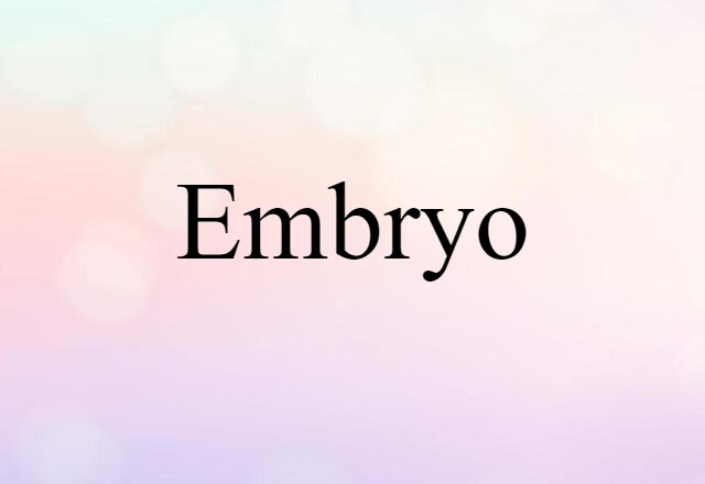 embryo