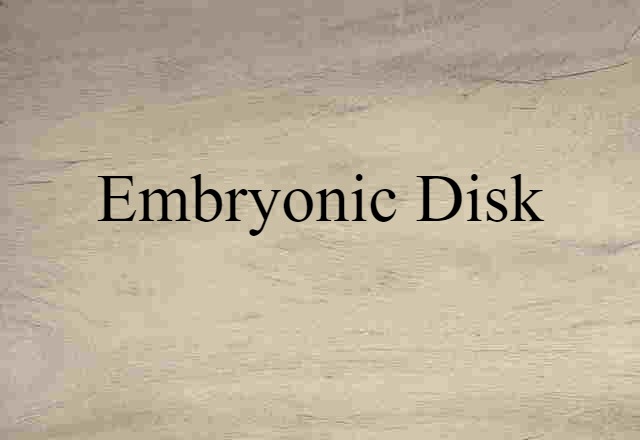 embryonic disk