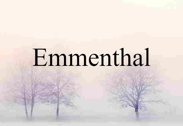 Emmenthal (noun) Definition, Meaning & Examples