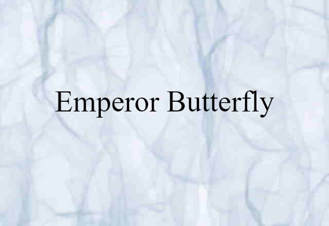 Emperor Butterfly (noun) Definition, Meaning & Examples