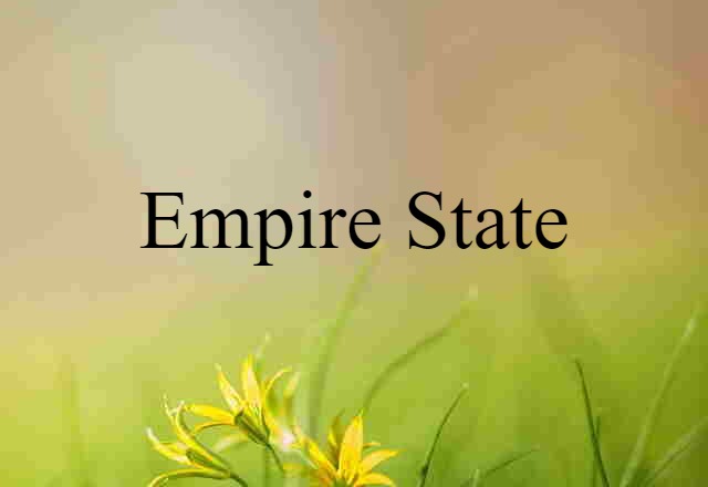 Empire State (noun) Definition, Meaning & Examples