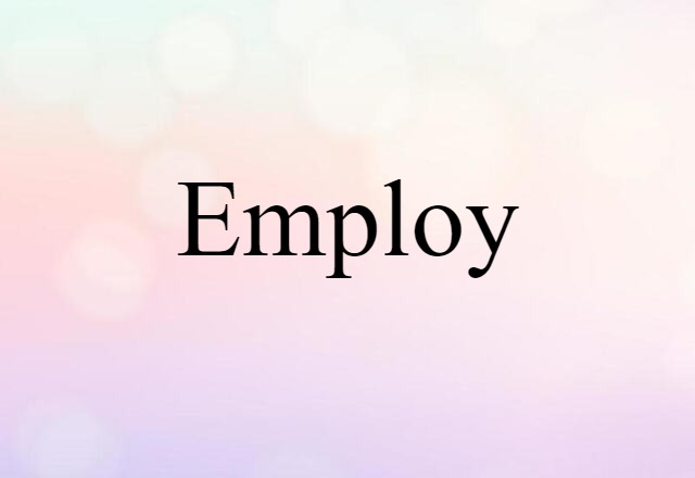 Employ (noun) Definition, Meaning & Examples