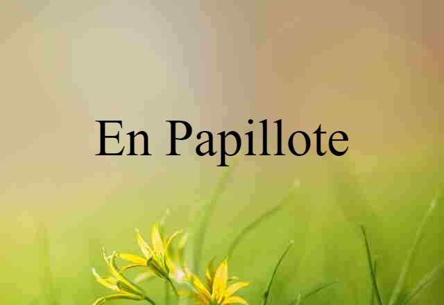 En Papillote (noun) Definition, Meaning & Examples