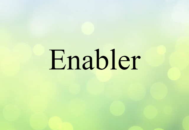 Enabler (noun) Definition, Meaning & Examples