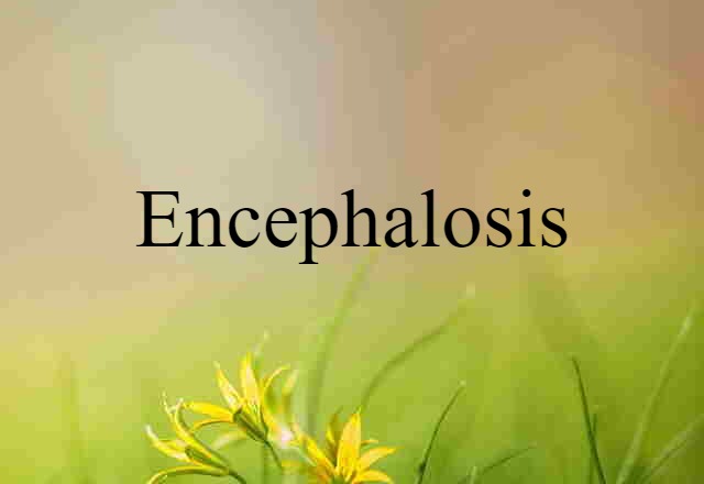 encephalosis