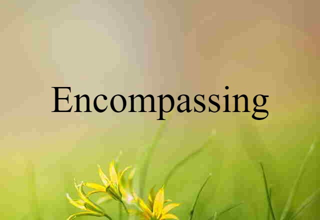 Encompassing (noun) Definition, Meaning & Examples