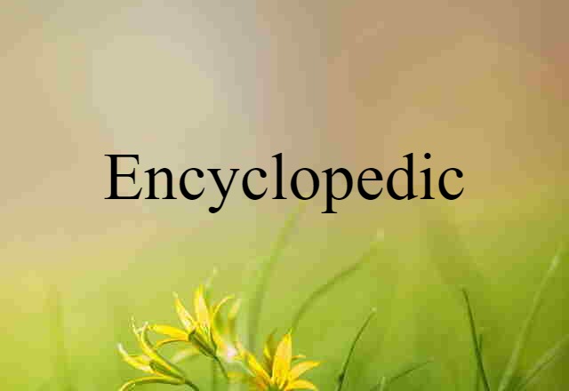 Encyclopedic (noun) Definition, Meaning & Examples