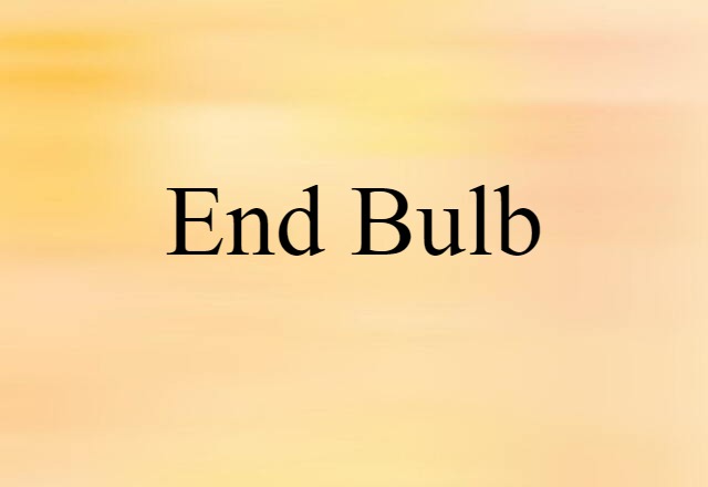 End Bulb (noun) Definition, Meaning & Examples