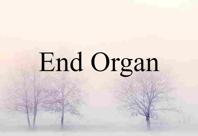 end organ