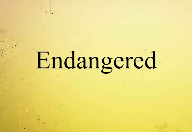 Endangered (noun) Definition, Meaning & Examples