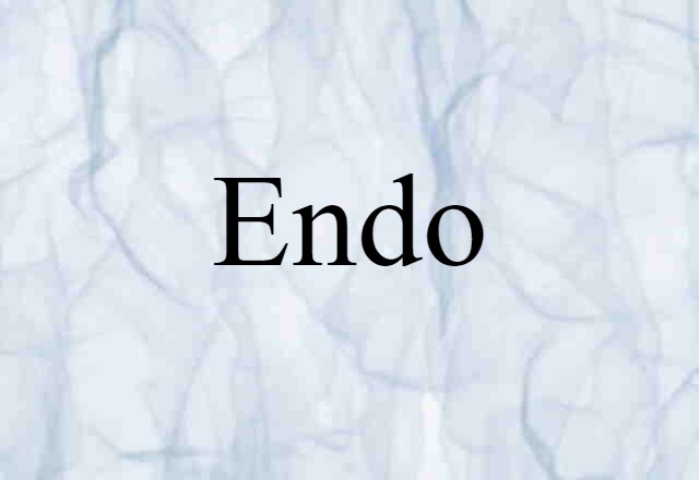 Endo (noun) Definition, Meaning & Examples