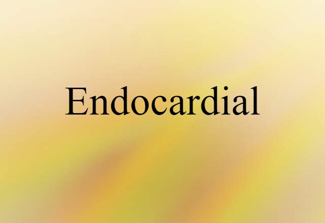 Endocardial (noun) Definition, Meaning & Examples