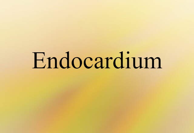 endocardium