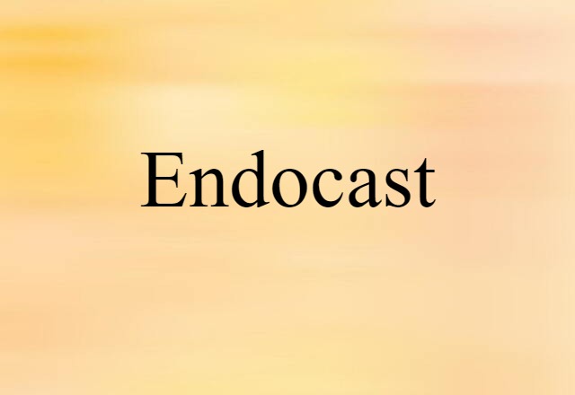 endocast